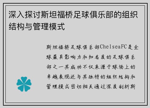 深入探讨斯坦福桥足球俱乐部的组织结构与管理模式 深入探讨斯坦福桥足球俱乐部的组织结构与管理模式